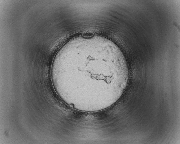X0000103130303200809121738