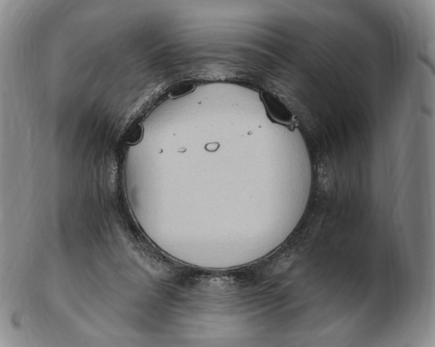X0000103130304200809121738