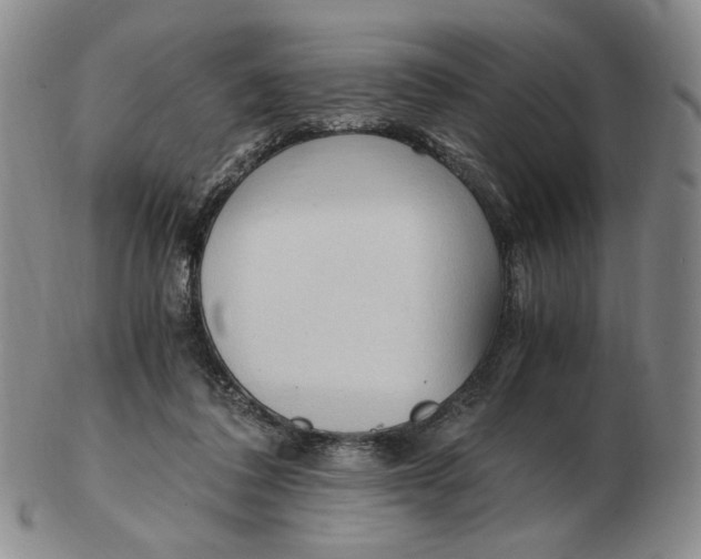 X0000103130308200809121738