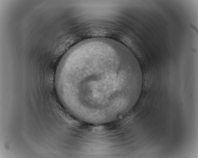 X0000103130309200809121738