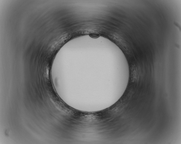 X0000103130310200809121737