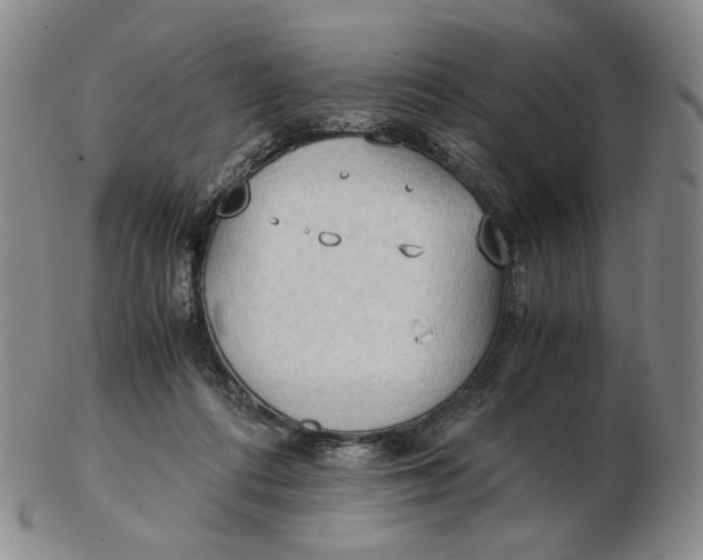 X0000103130312200809121737