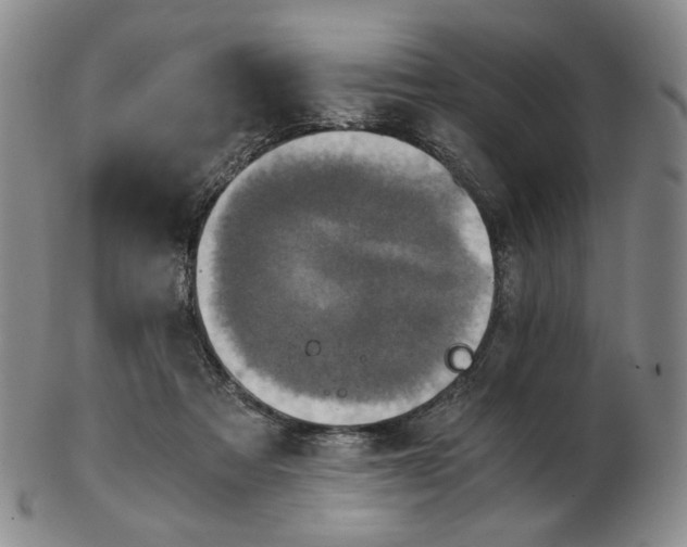 X0000103130313200809121737