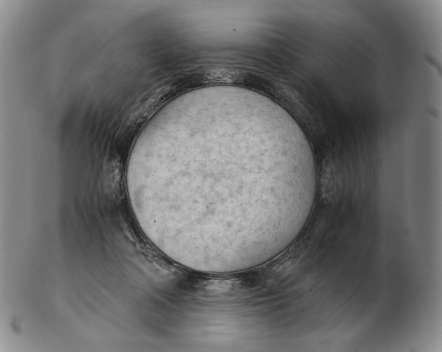 X0000103130314200809121737