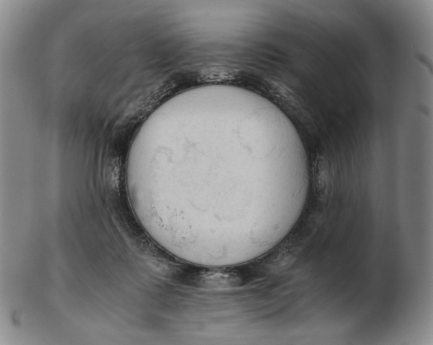 X0000103130315200809121737
