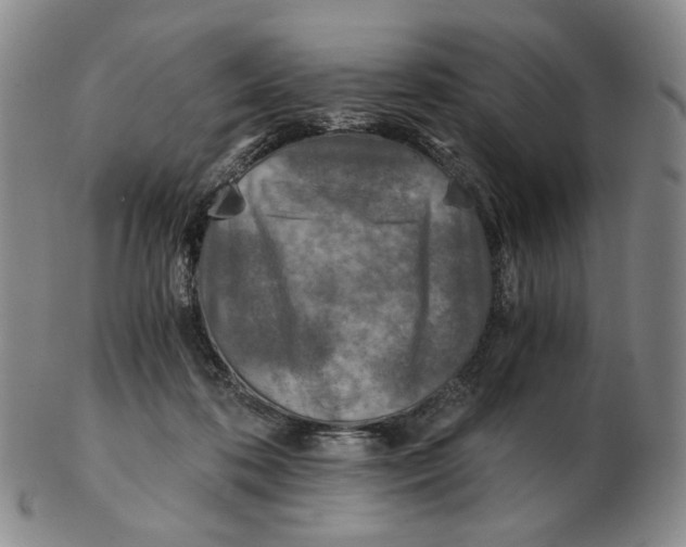 X0000103130316200809121737