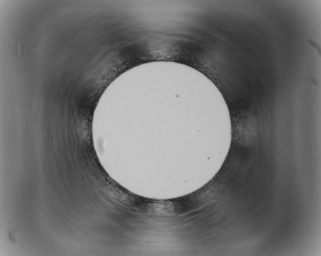 X0000103130317200809121737