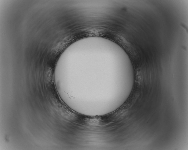 X0000103130318200809121737