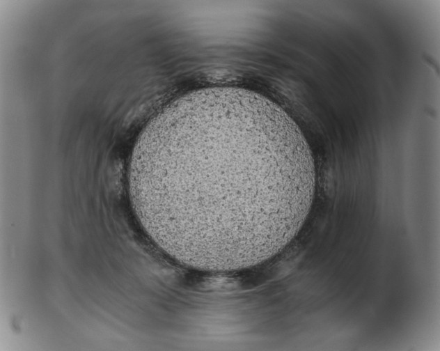 X0000103130319200809121737