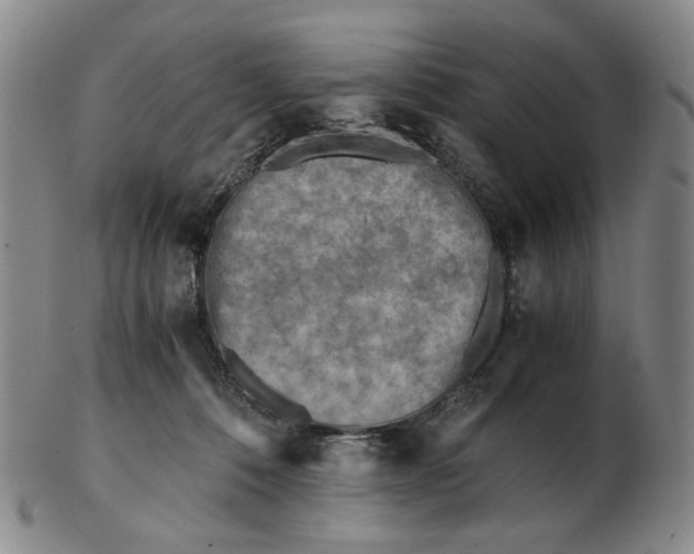 X0000103130320200809121737