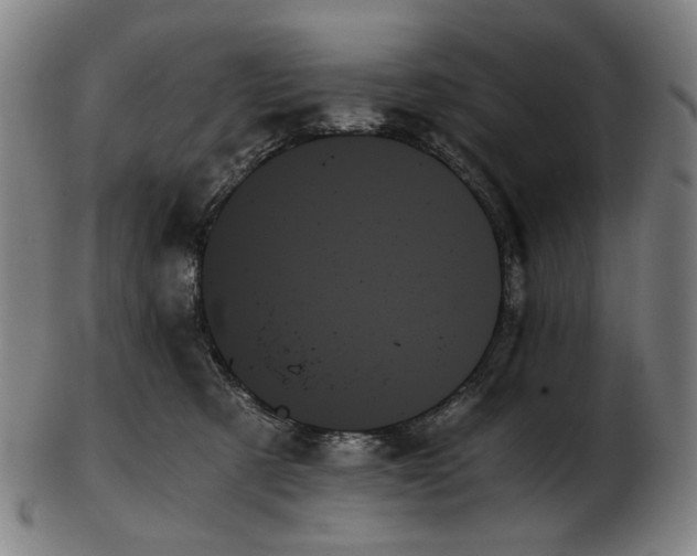 X0000103130321200809121737