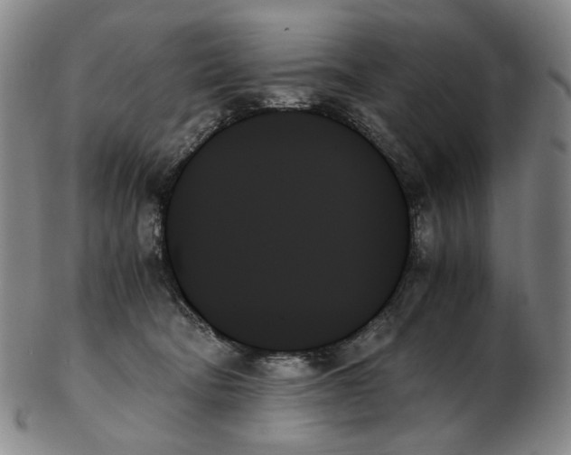 X0000103130322200809121737