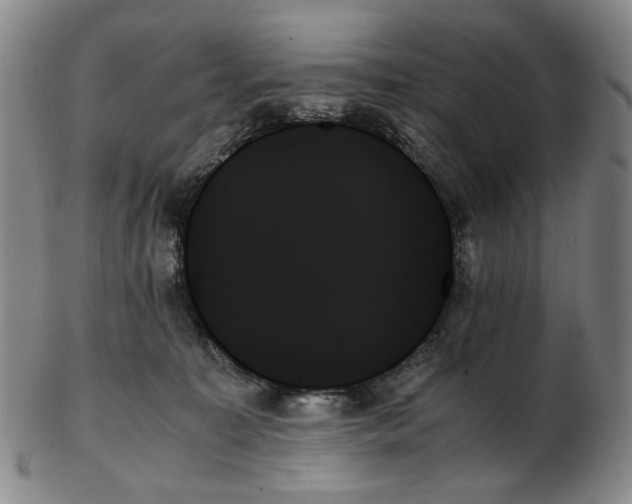 X0000103130323200809121737