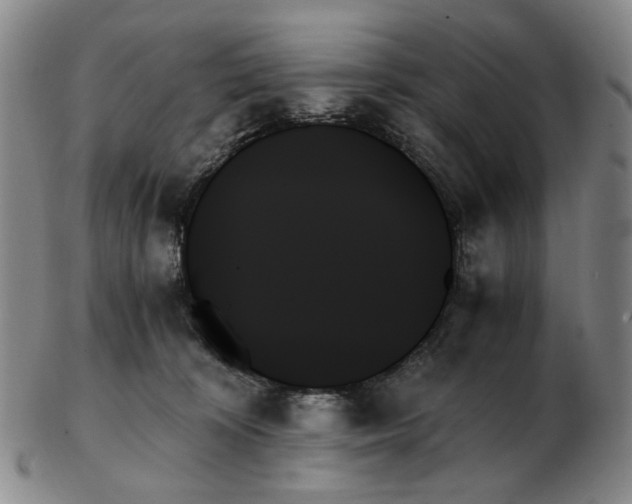 X0000103130324200809121737
