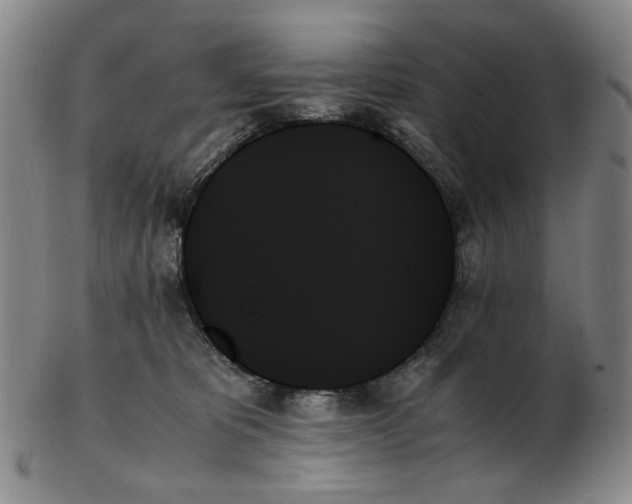 X0000103130325200809121737
