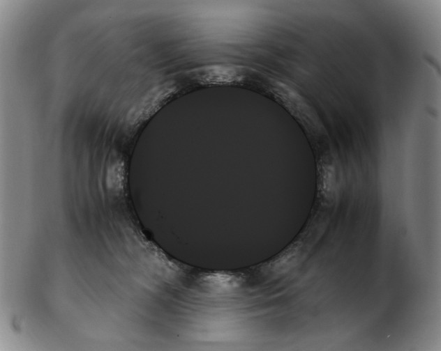 X0000103130326200809121737