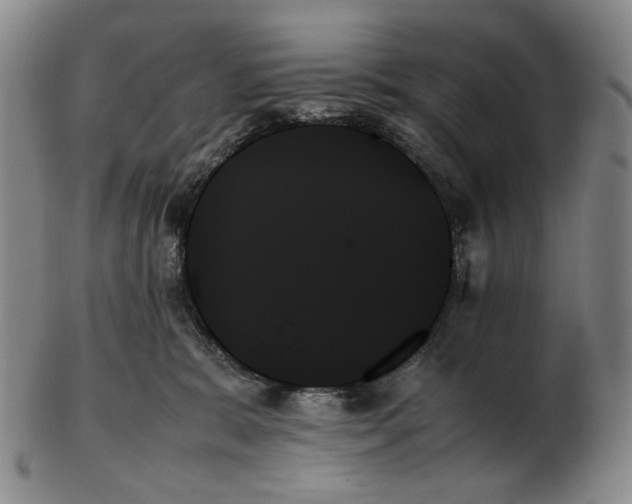 X0000103130327200809121737