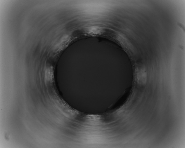 X0000103130328200809121737