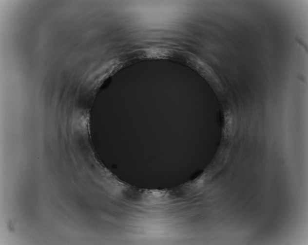 X0000103130329200809121737
