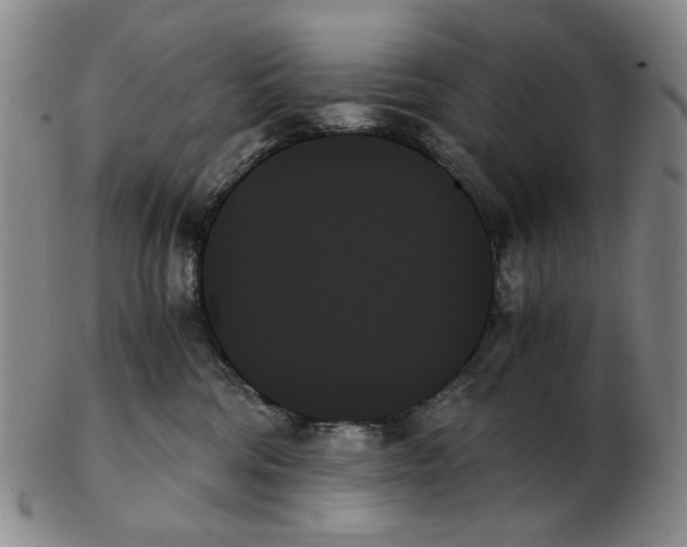 X0000103130330200809121737