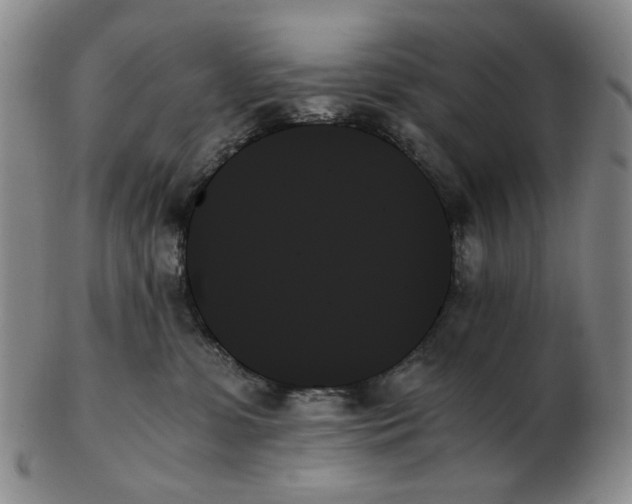 X0000103130331200809121737