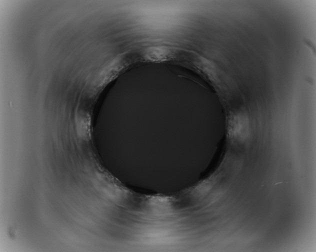 X0000103130332200809121737