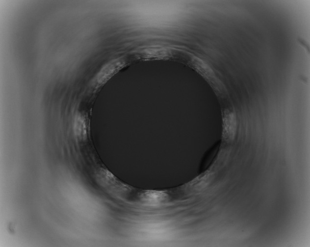 X0000103130333200809121737