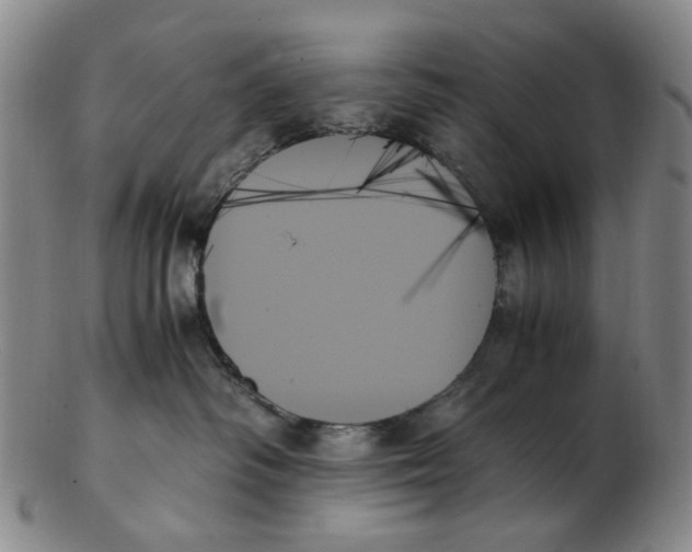 X0000103130334200809121737