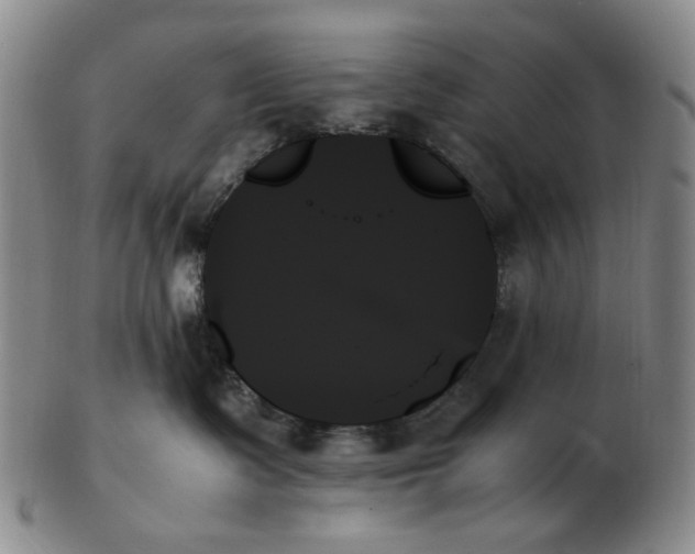 X0000103130335200809121737