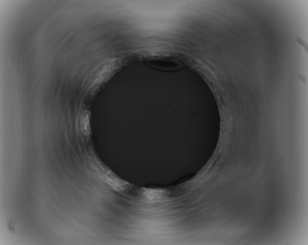 X0000103130336200809121737
