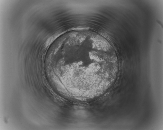 X0000103130337200809121736