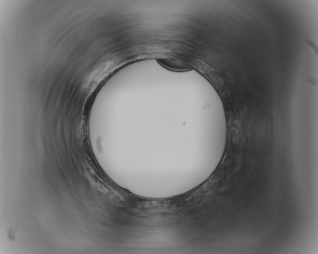X0000103130338200809121736