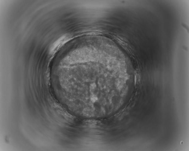 X0000103130339200809121737