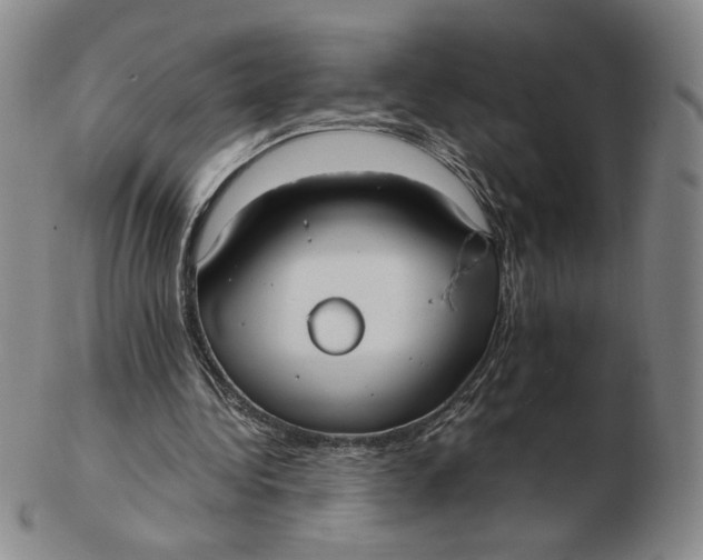 X0000103130340200809121737