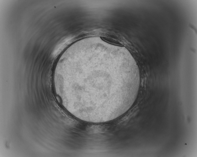X0000103130341200809121737