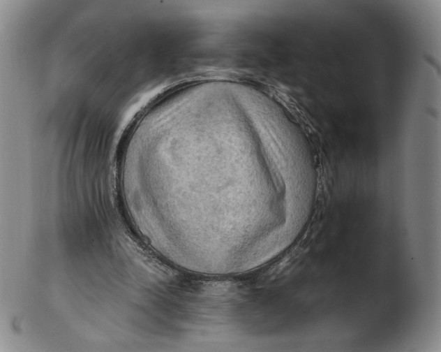 X0000103130342200809121737