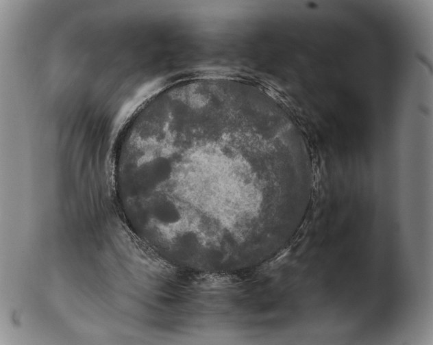 X0000103130343200809121737
