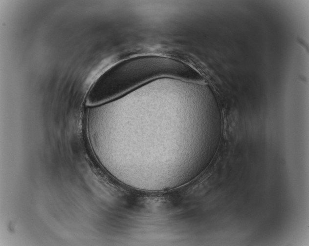 X0000103130344200809121737