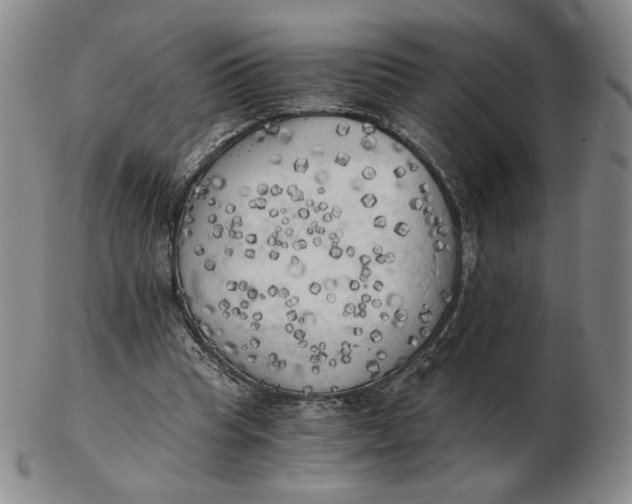 X0000103130345200809121737
