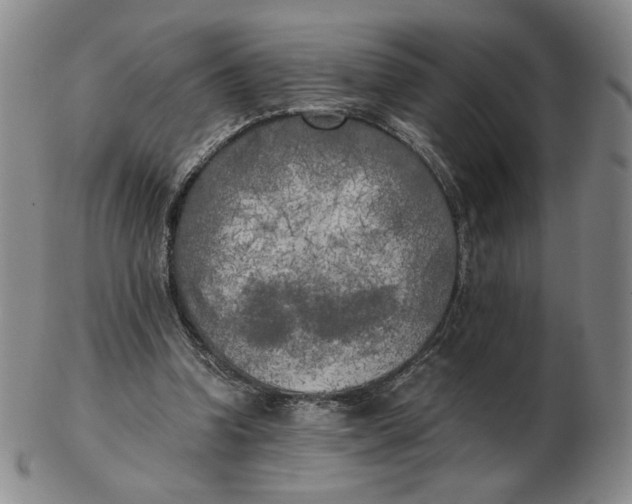 X0000103130346200809121737