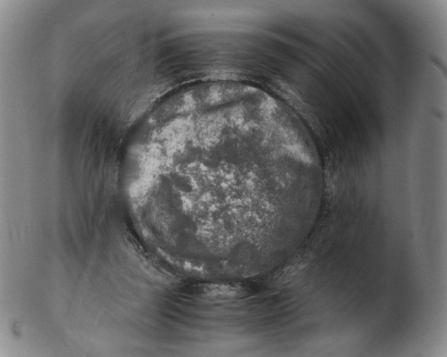 X0000103130347200809121737