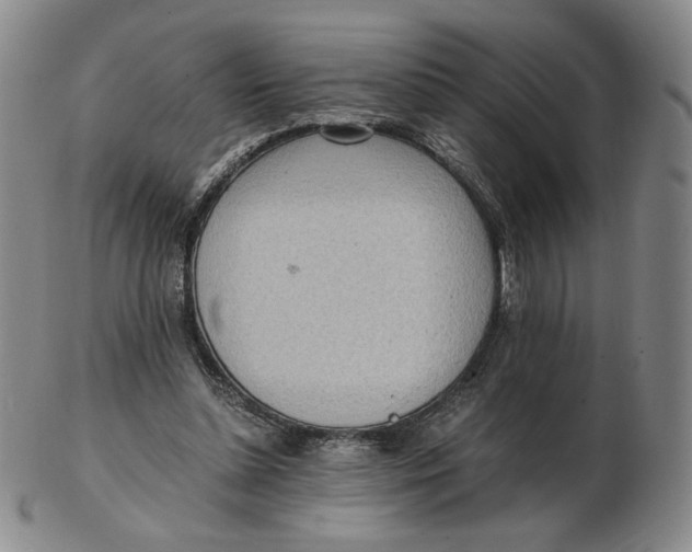 X0000103130348200809121737