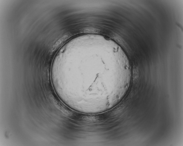 X0000103130349200809121737