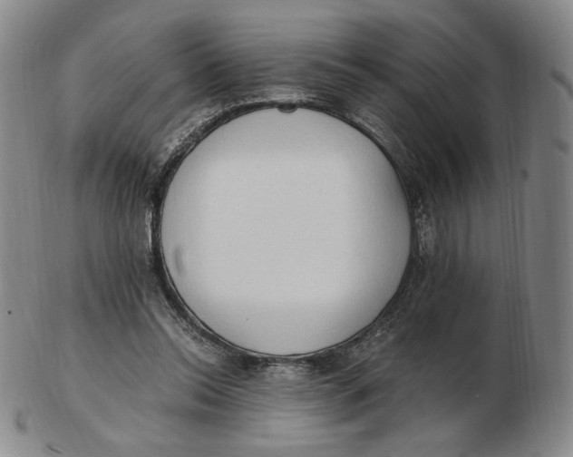 X0000103130350200809121737
