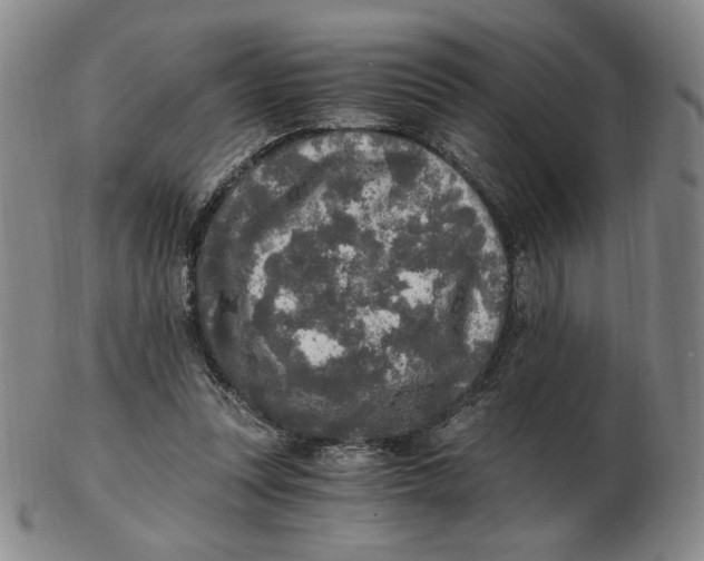 X0000103130351200809121737