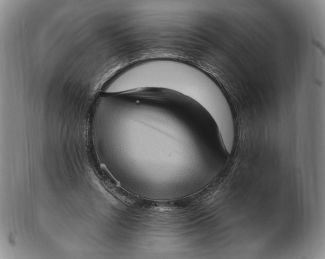 X0000103130352200809121737