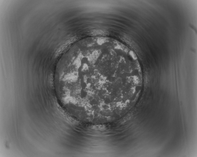 X0000103130353200809121737