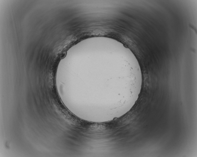 X0000103130354200809121737