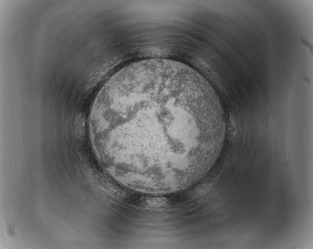 X0000103130355200809121737