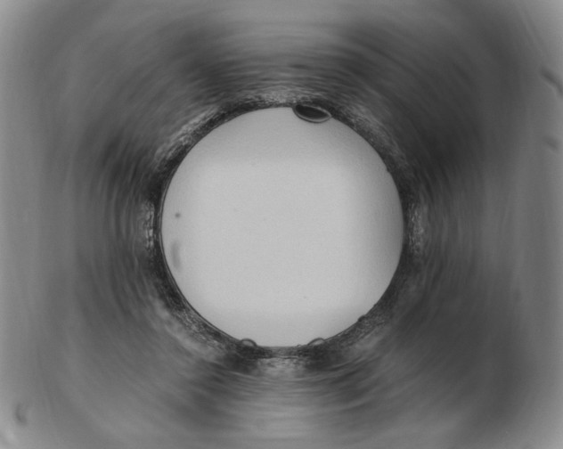X0000103130356200809121737